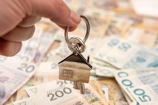 Top 3 oferty pożyczek: Vivigo, Wandoo i Kuki.pl